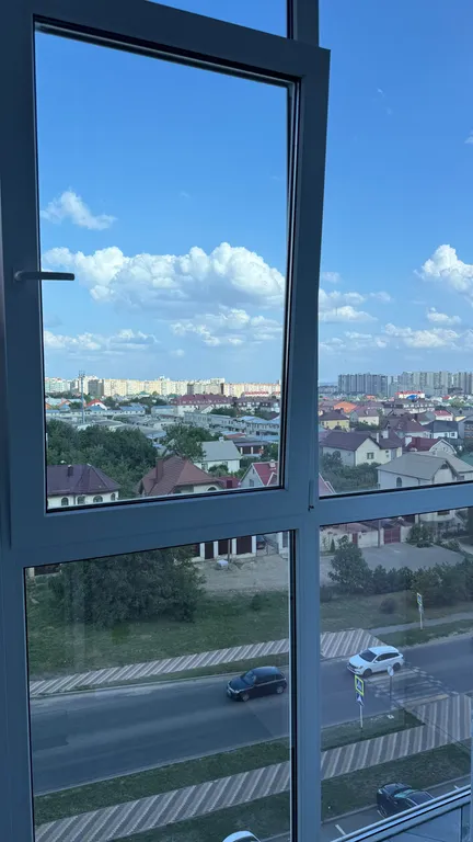 Элитные гнезда