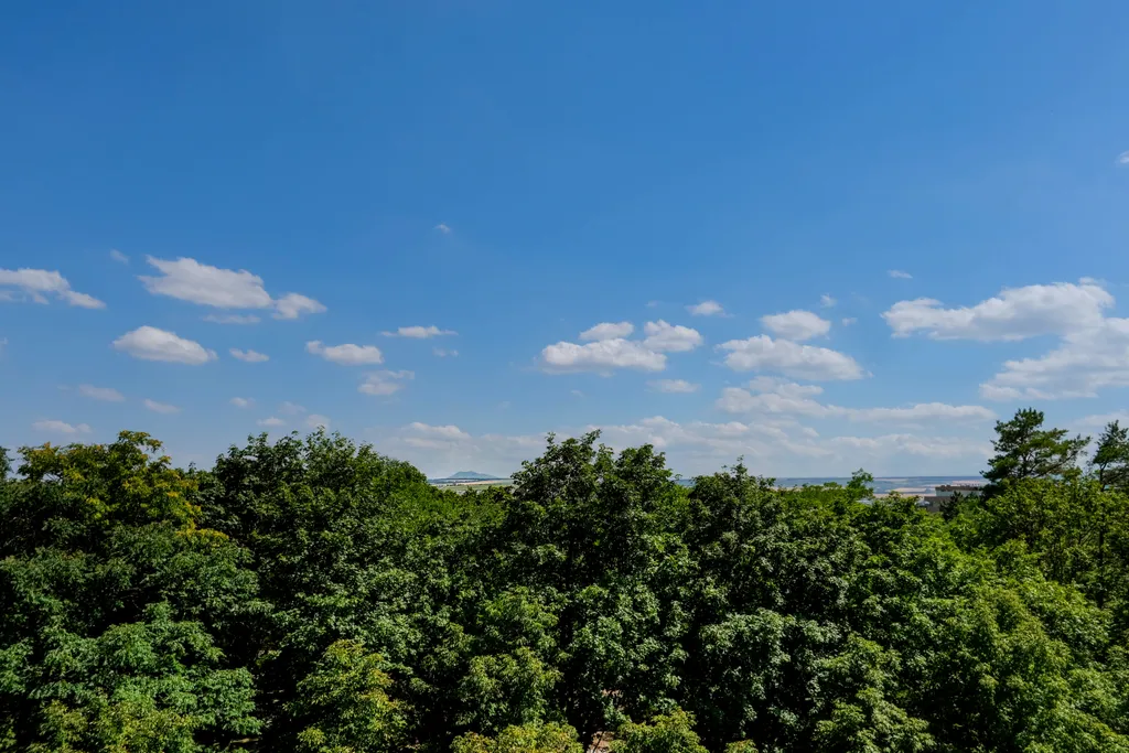 Новая квартира в курзоне