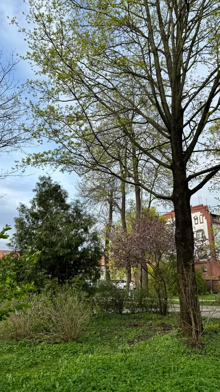 Квартира Квартира Central city apartments — Калининград