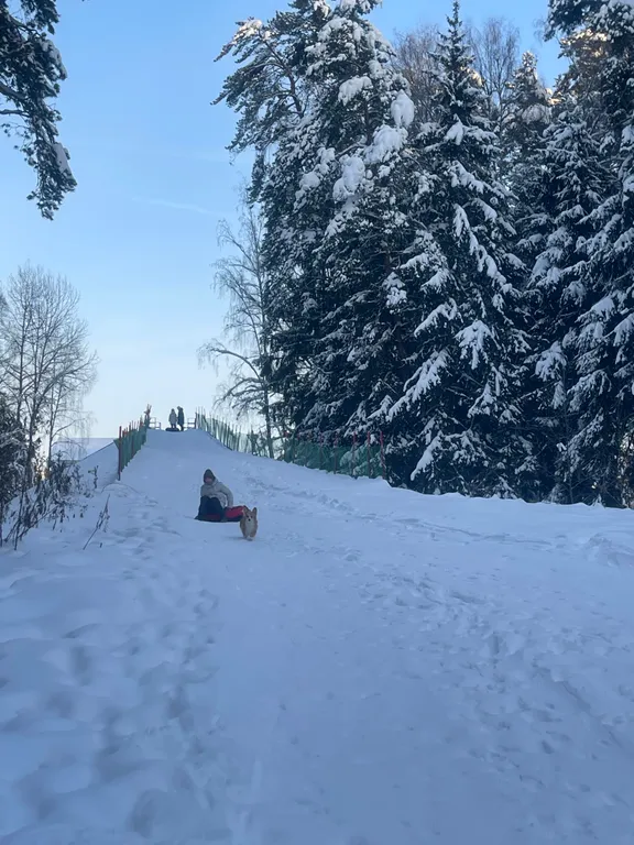 Коттедж Коттедж Семейный отдых в Подмосковье — Семеновское