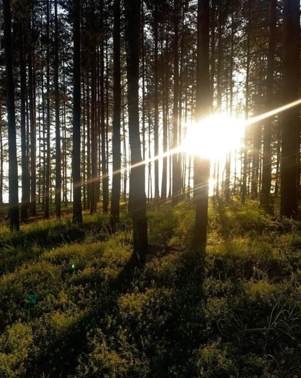 Коттедж Дом на первой линии озера Волго — Турбаза Чайка