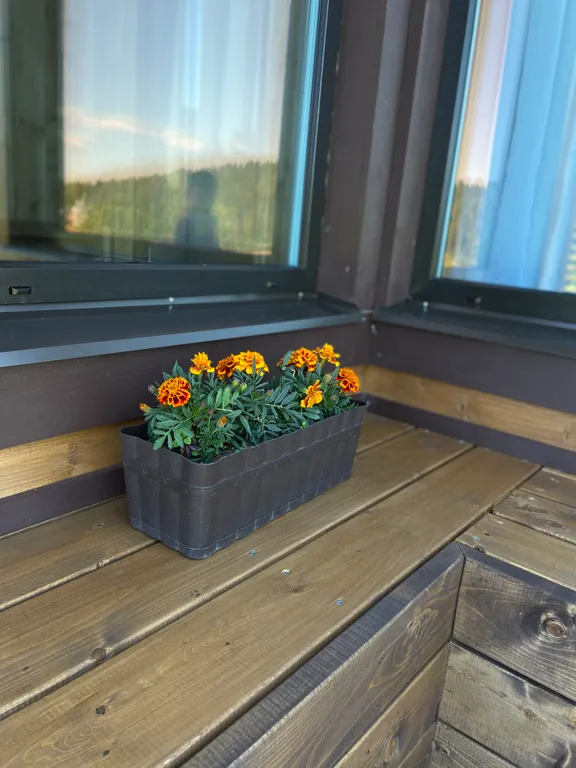 2-комнатный Дом