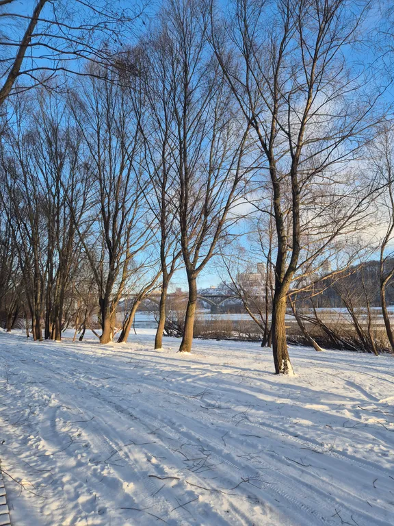 Уютный домик на берегу реки