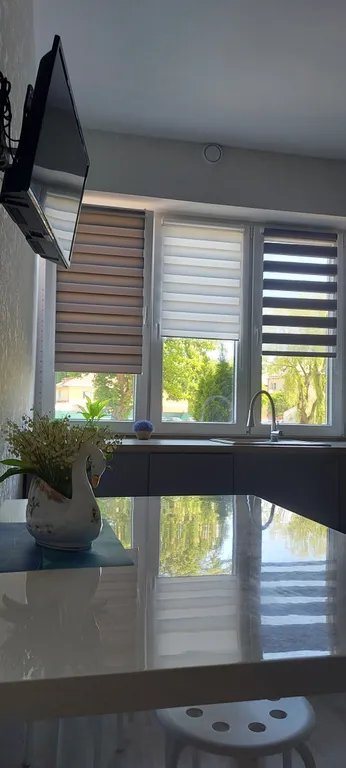 Квартира Стильные апартаменты на первой линии Балтийского моря — Пионерский