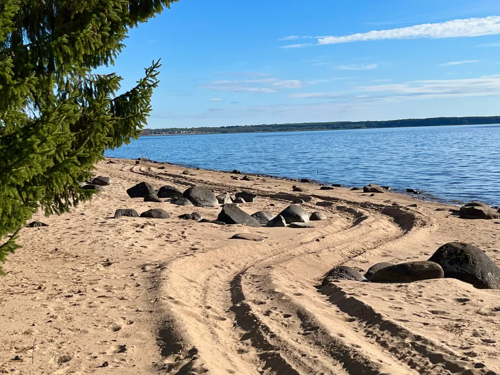 Коттедж Уютный домик на озере Волго на Селигере в сосновом бору — Турбаза Чайка