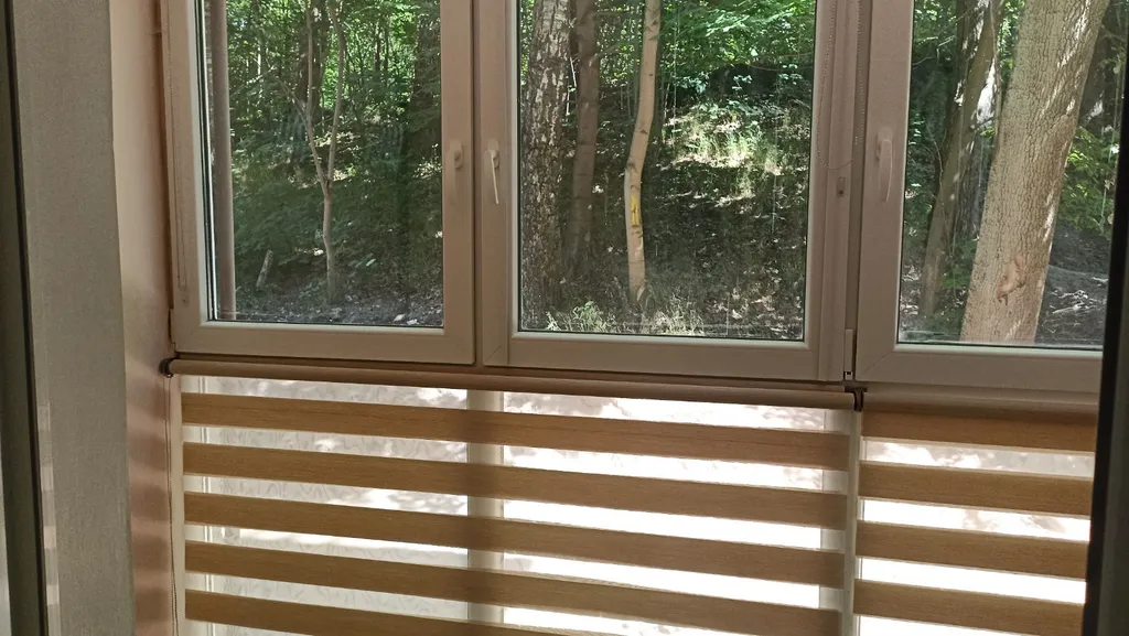 Квартира 1-комнатная Квартира — Светлогорск