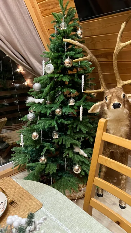 Дом с баней и чаном