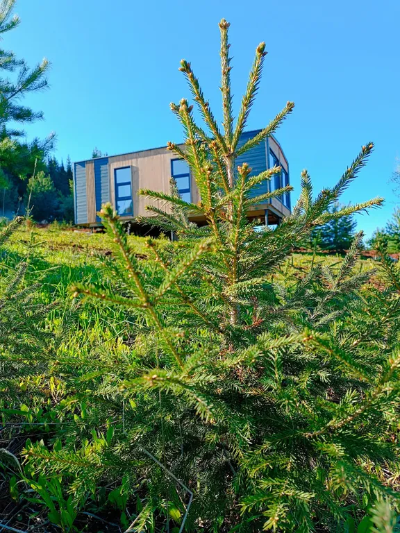 Гостевой дом счастье любит тишину