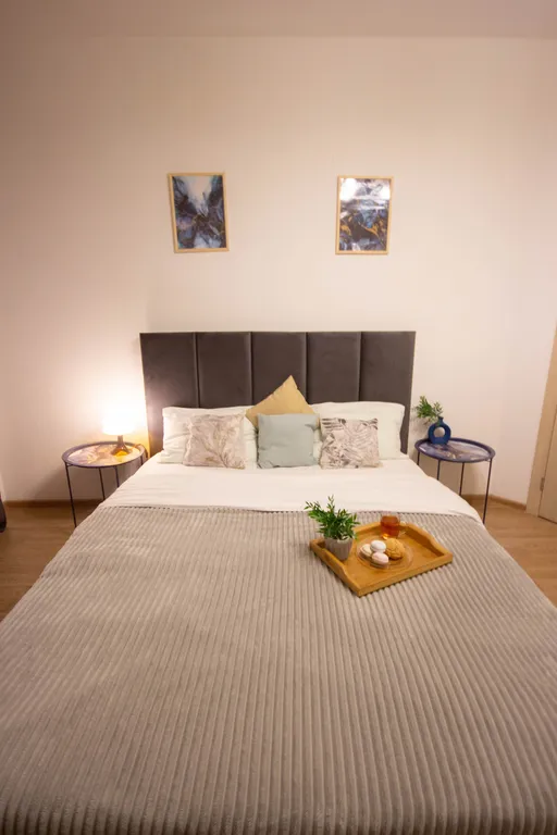 1-комнатная квартира у Меги