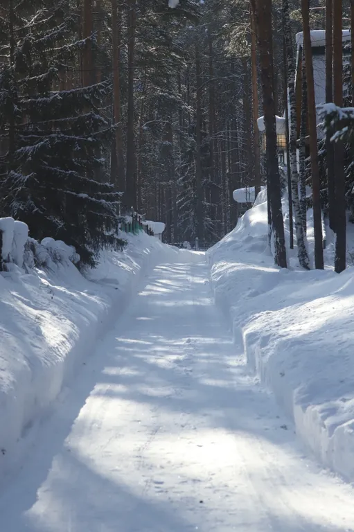 Дом 6 в лесу у реки
