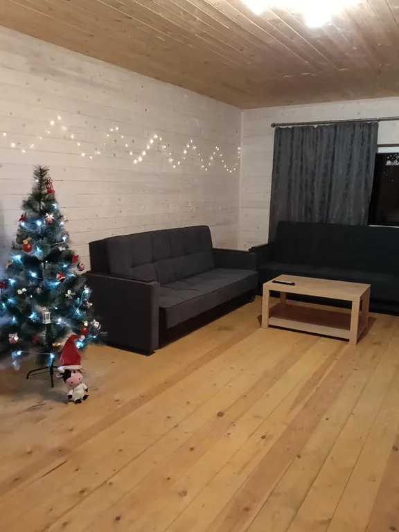 Уютный новый дом с баней на берегу реки в 45 км от Москвы-Домодедово