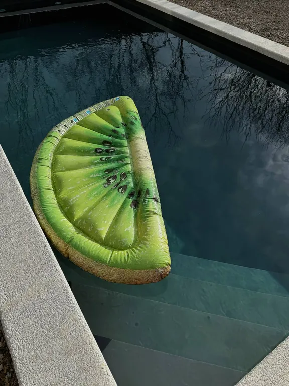 Дом с бассейном