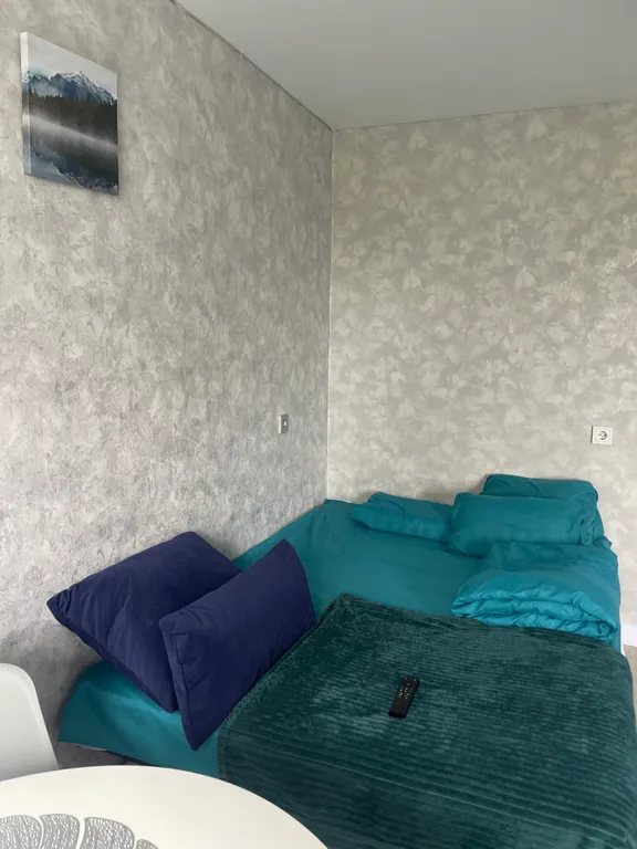 Студия с видом на реку и город в 5 минутах от центра города