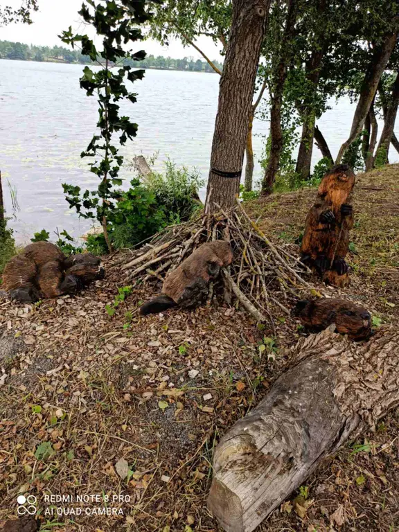 Уютная усадьба на берегу озера