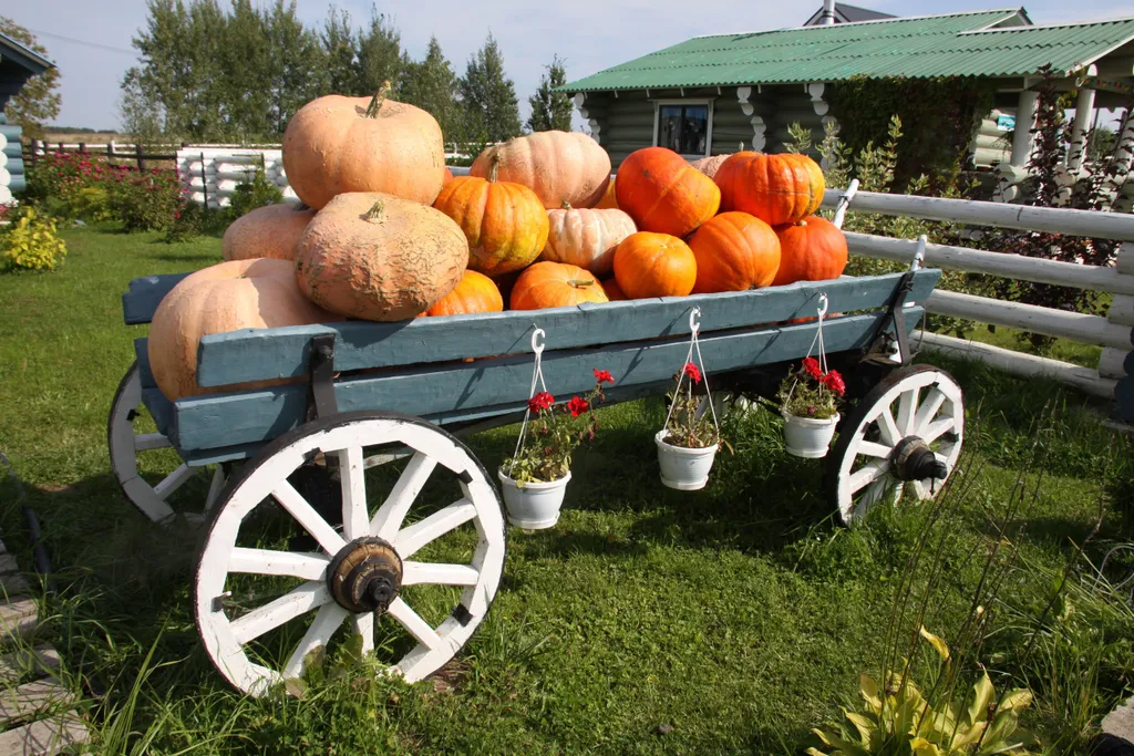 Дом с 5 спальнями