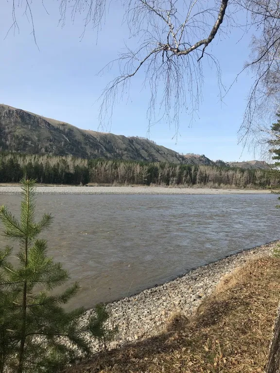 Дом Черемшанка