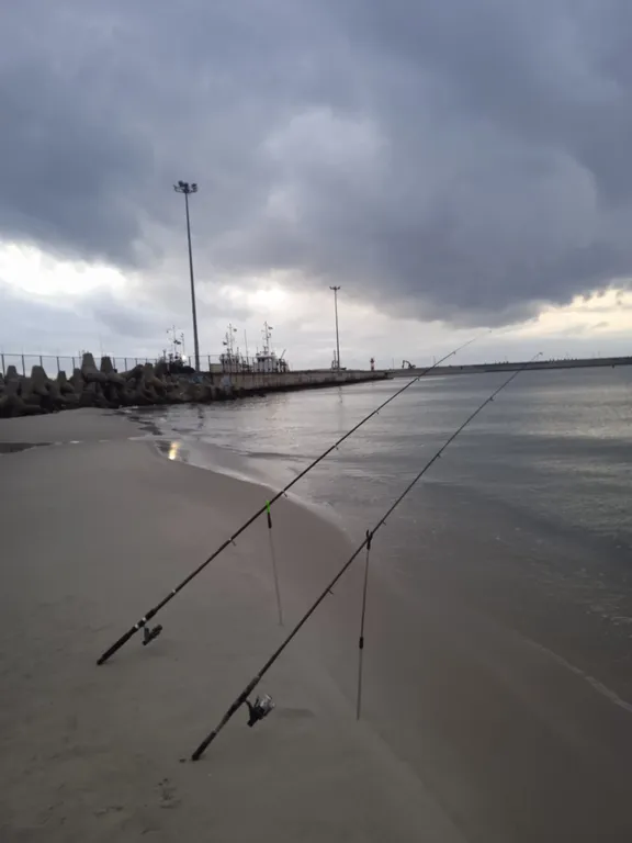 Квартира Двухуровневые апартаменты с видом на море — Пионерский