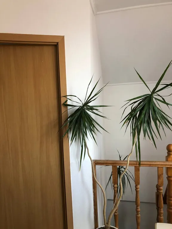 Двухместная светлая комната