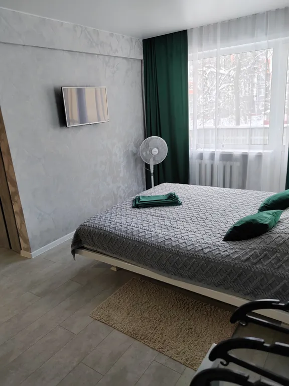 Квартира в центре города Фрунзе, бесконтактное заселение