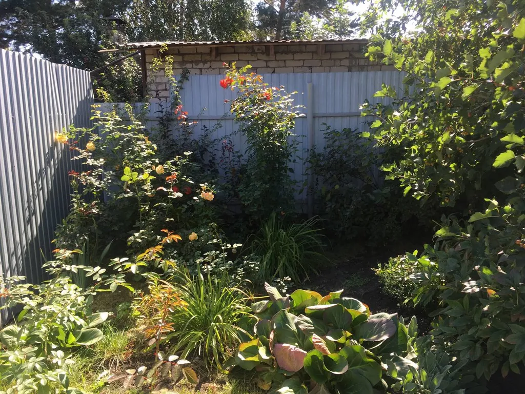 Загородный дом рядом с озером