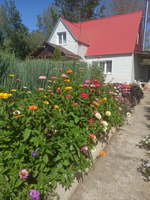 Коттедж в Царевщине