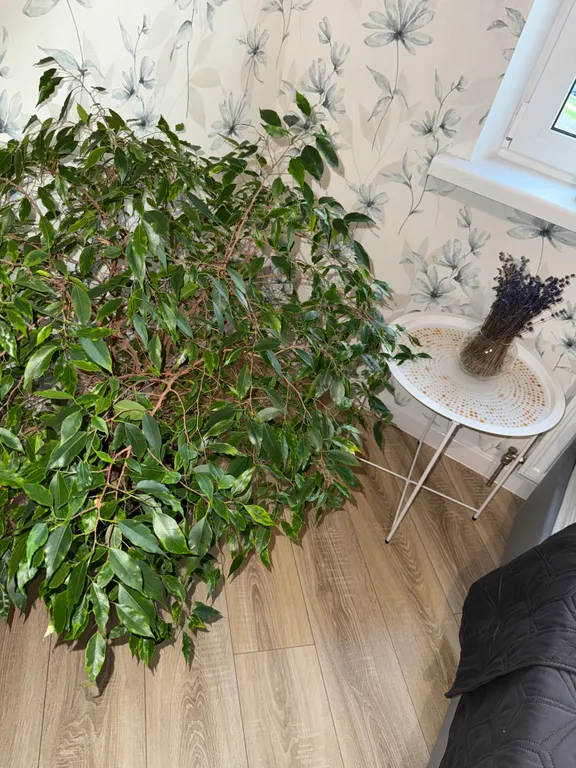 Апартаменты Like Home