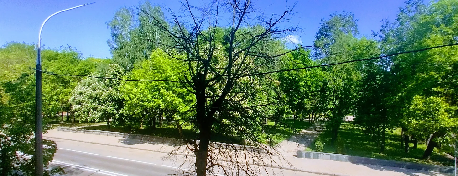 Вид из окна на парк имени Ленина 