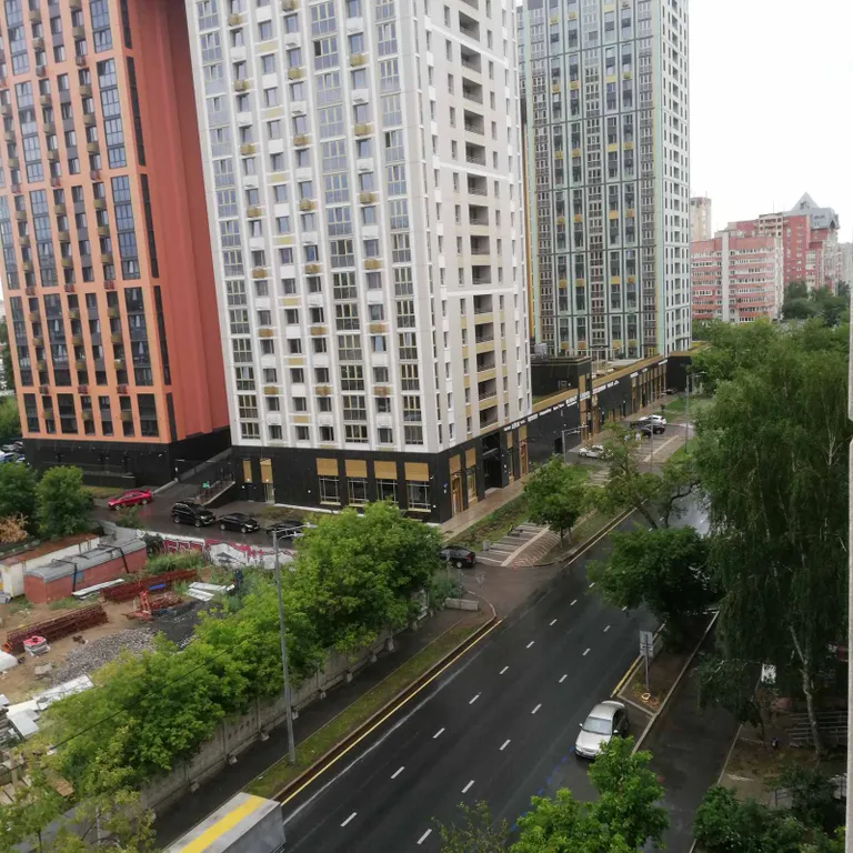 Львиное сердце в Центральном центре