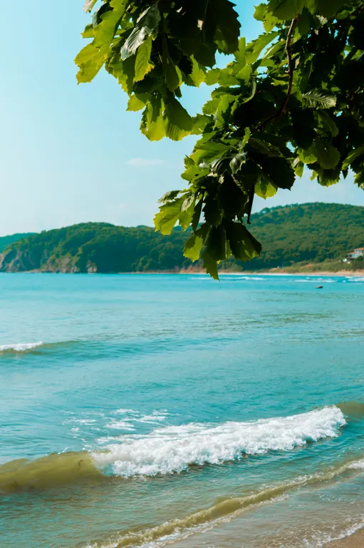 Четырехместный номер с террасой, первая линия от моря