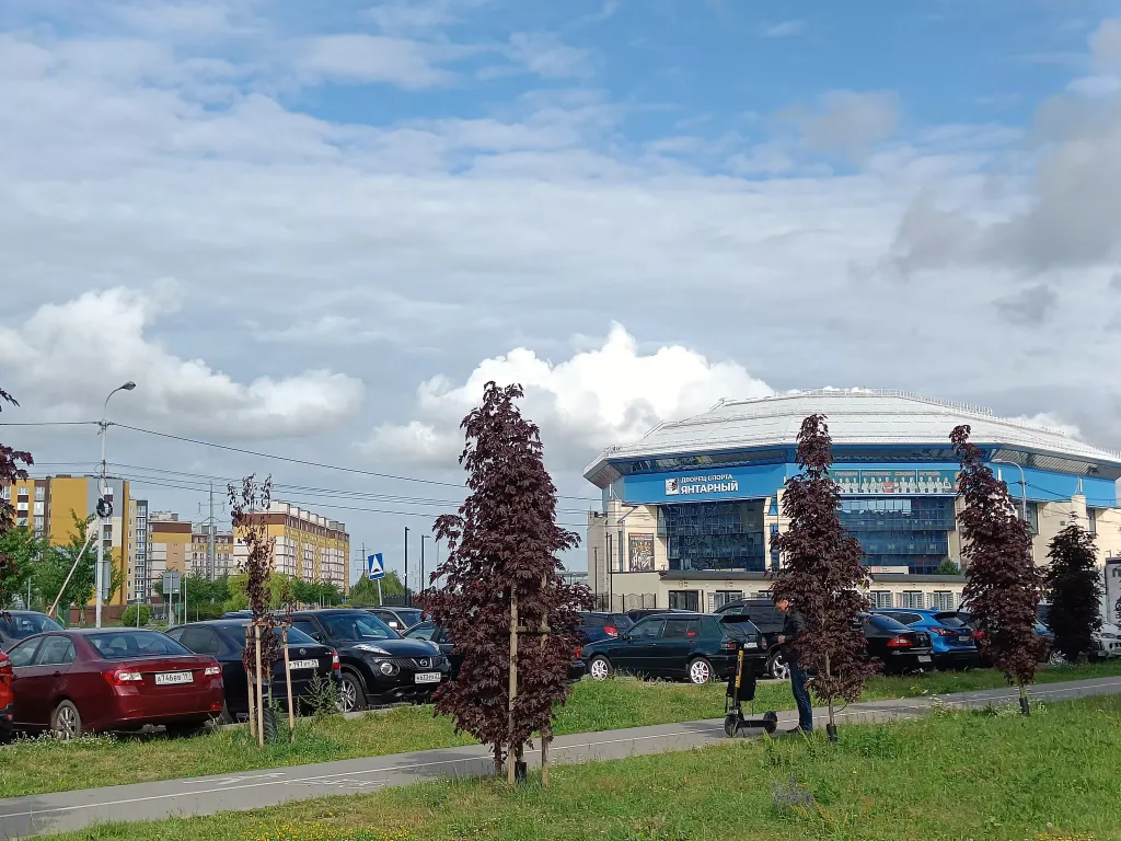 Квартира Квартира в новом комплексе, 20 мин до моря на машине — Калининград