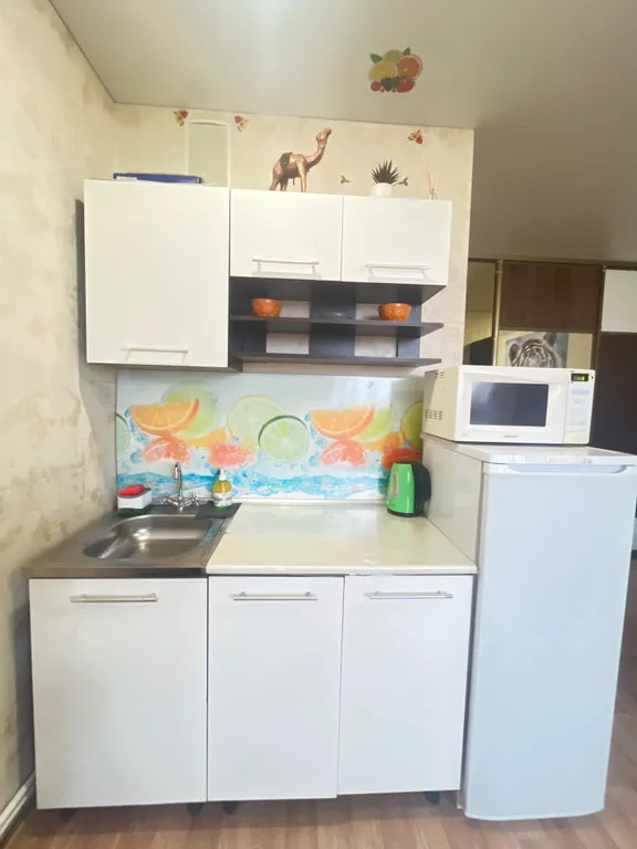 Студия с автономным отоплением и кондиционером