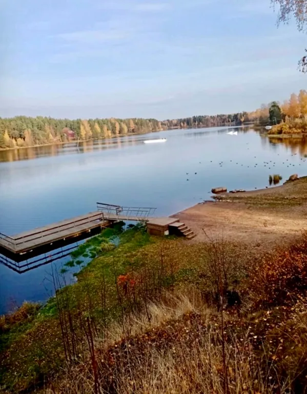 Коттедж с дизайнерской отделкой и камином