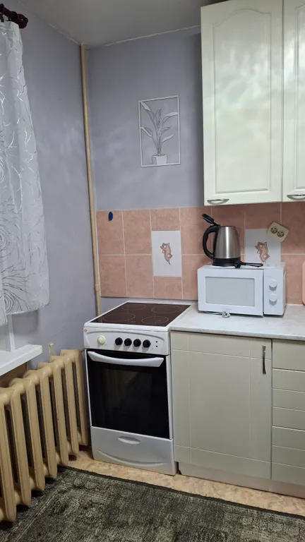 Квартира- студия, есть всё необходимое