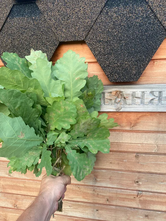 Коттедж Дом с баней — Куровское