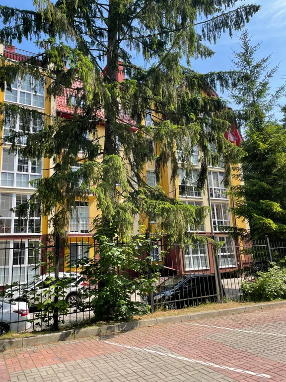 Квартира Квартира Раушен — Светлогорск