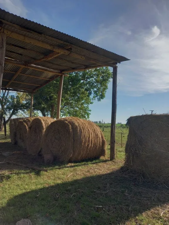 Дом с пятнистыми оленями и кроликами в лесу