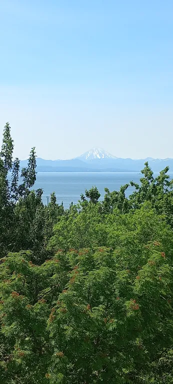 Уютная квартира с видом на море вблизи центра города
