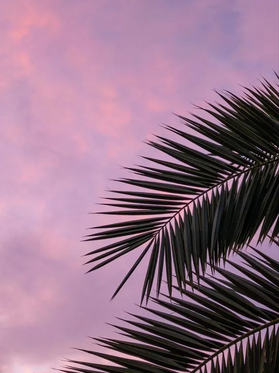 Квартира Квартира Стильный новый апартамент с террасой у моря — Адлер