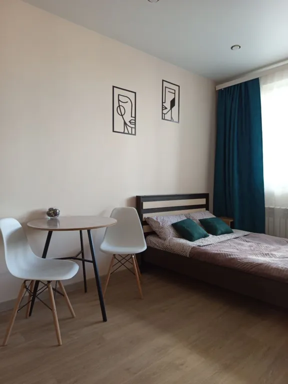 Уютная квартира-студия в центре города