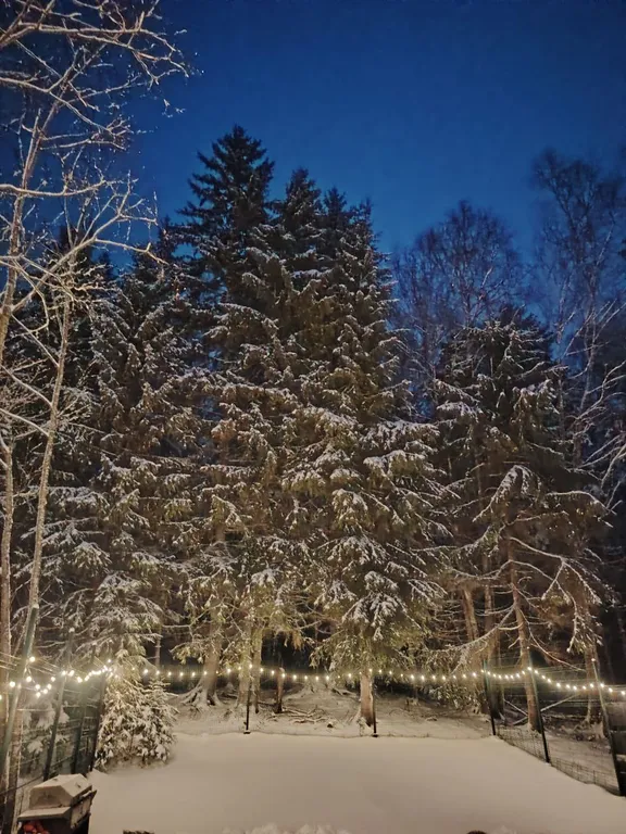 Уютный домик-глемпинг с сауной в лесу