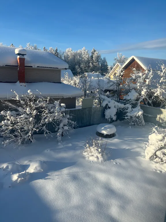 Уютный дом в тихом месте