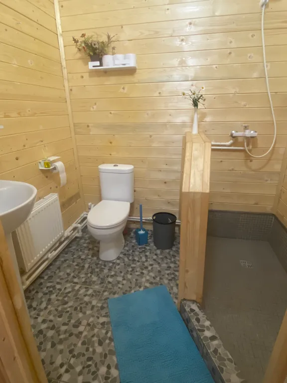 Домик рядом с Невой