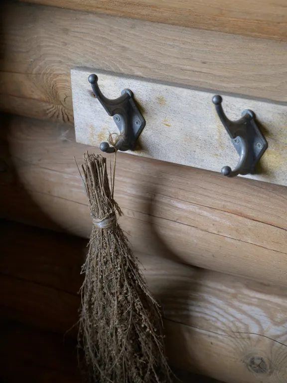 Гуси Лебеди