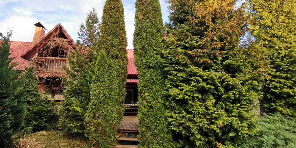 3-комнатный Дом