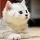 Марина
