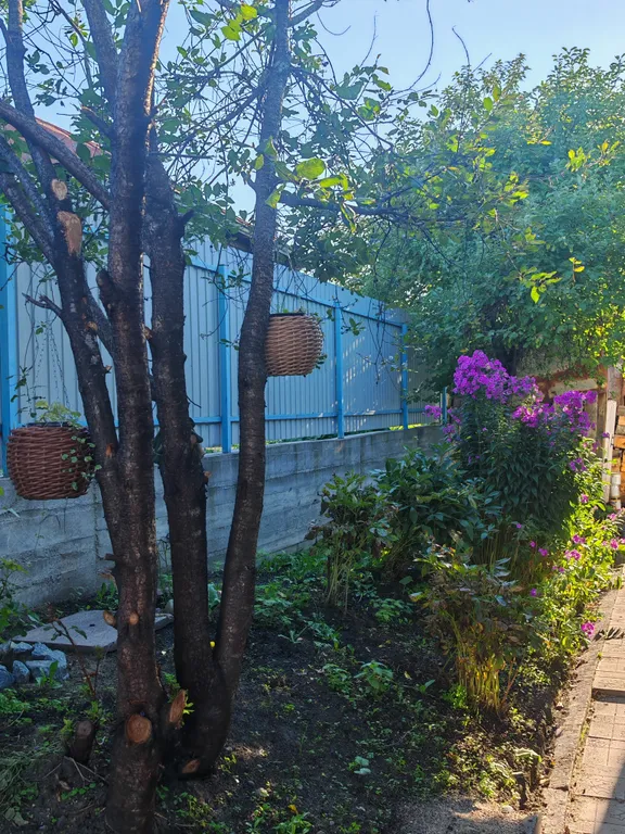 Домик в предгорье горы "50 лет"