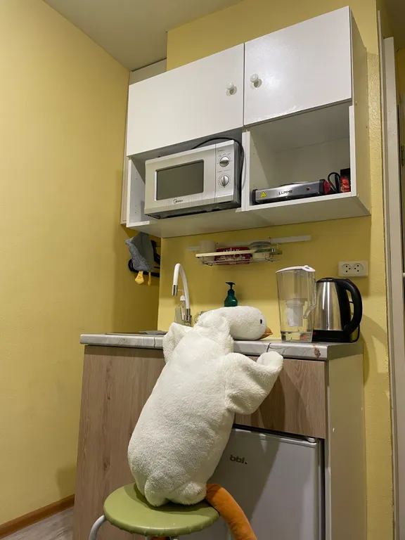 В гостях у гуся