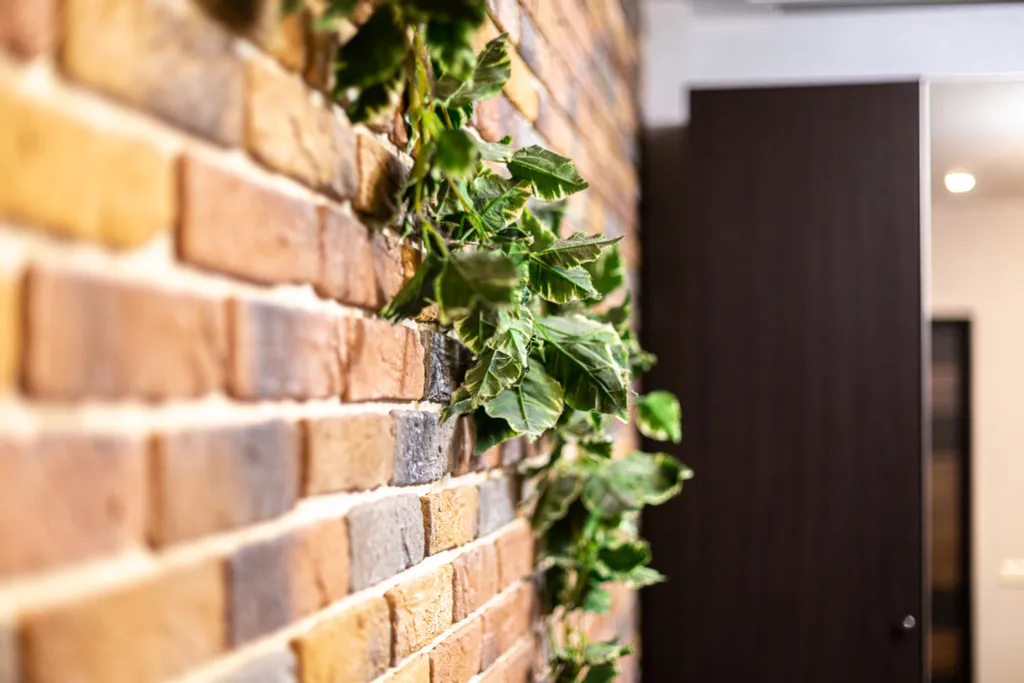 Уютная студия в самом центре курорта