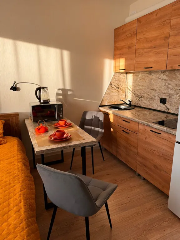 Квартира Квартира Студия Песочный, НИИ Петрова/Гранова/Напалкова — Песочный