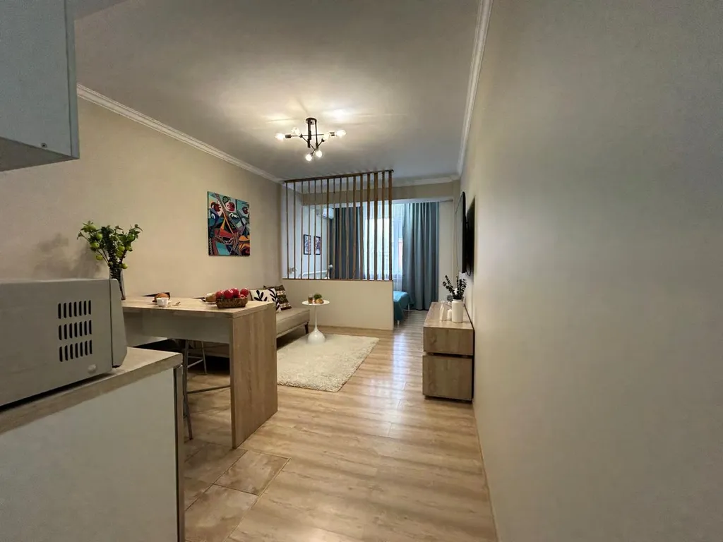 Студия Алма с прекрасным видом на город